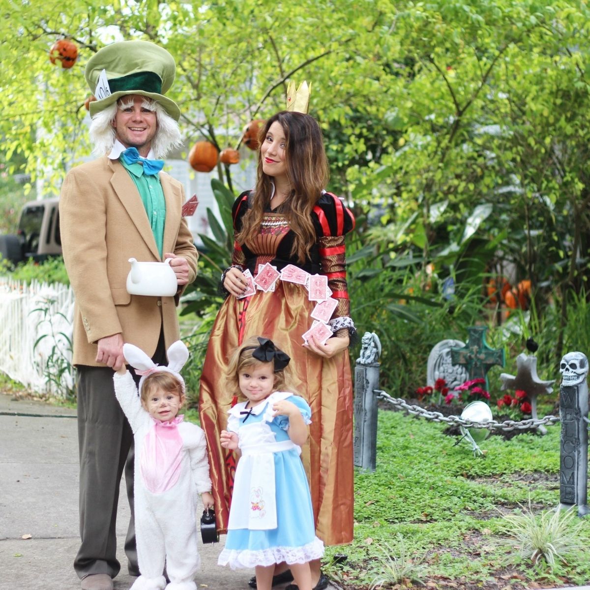 alice in wonderland family costumes