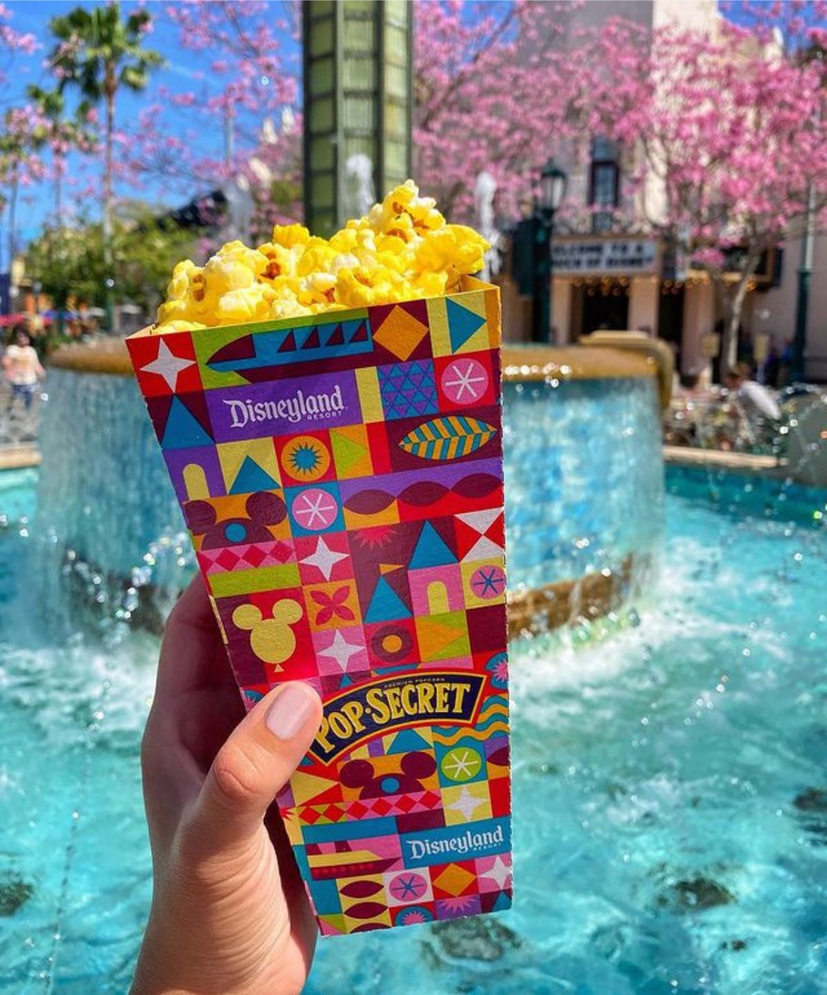 Disneyland Popcorn