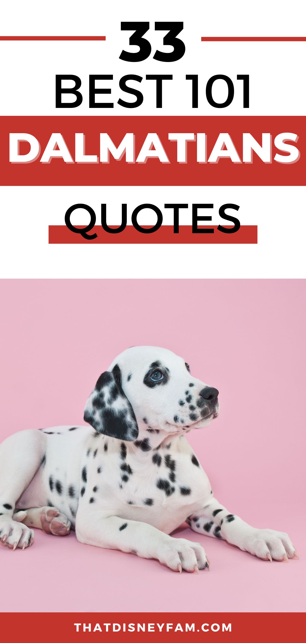 101 dalmatians quotes