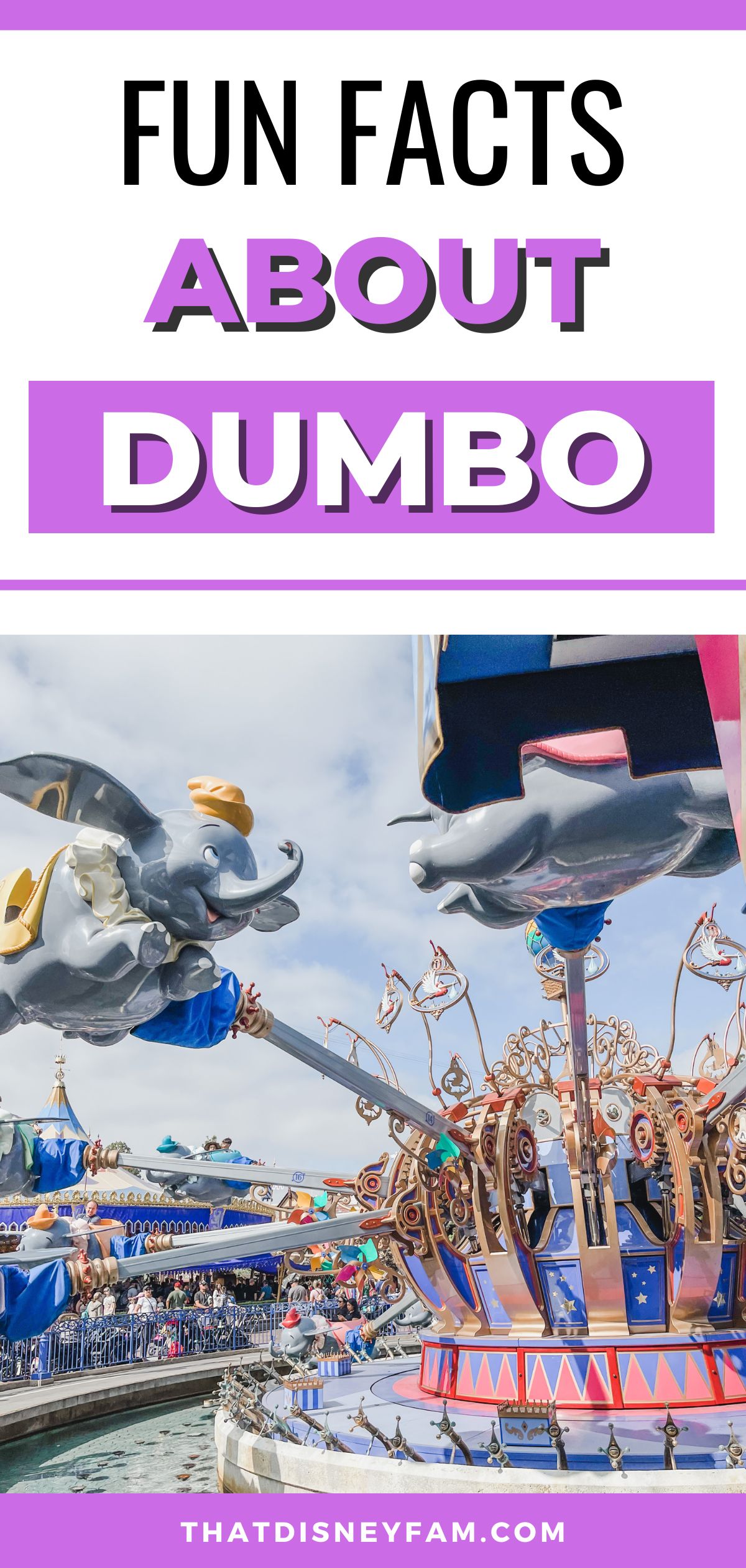 facts about dumbo