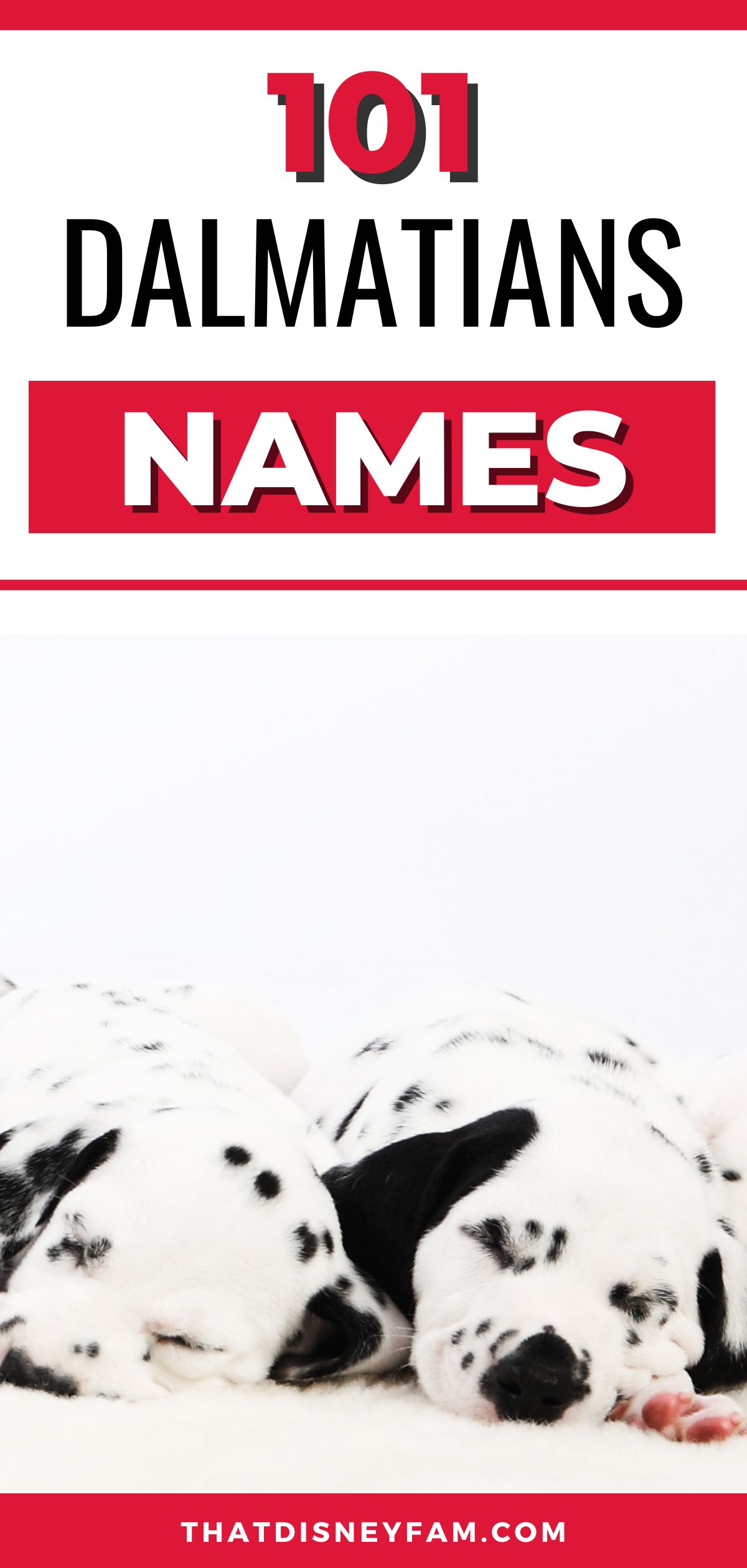 101 dalmatians names