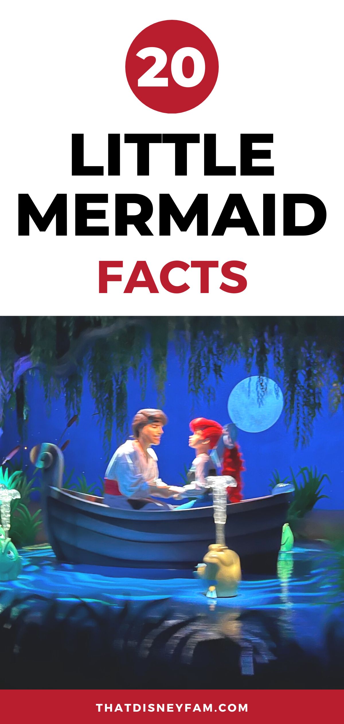 little mermaid facts