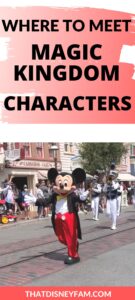 Everything There Is To Know About The Characters In Magic Kingdom ...