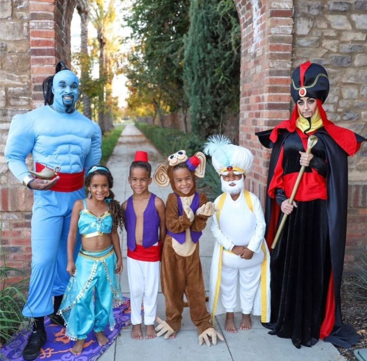 aladdin costumes for family of six