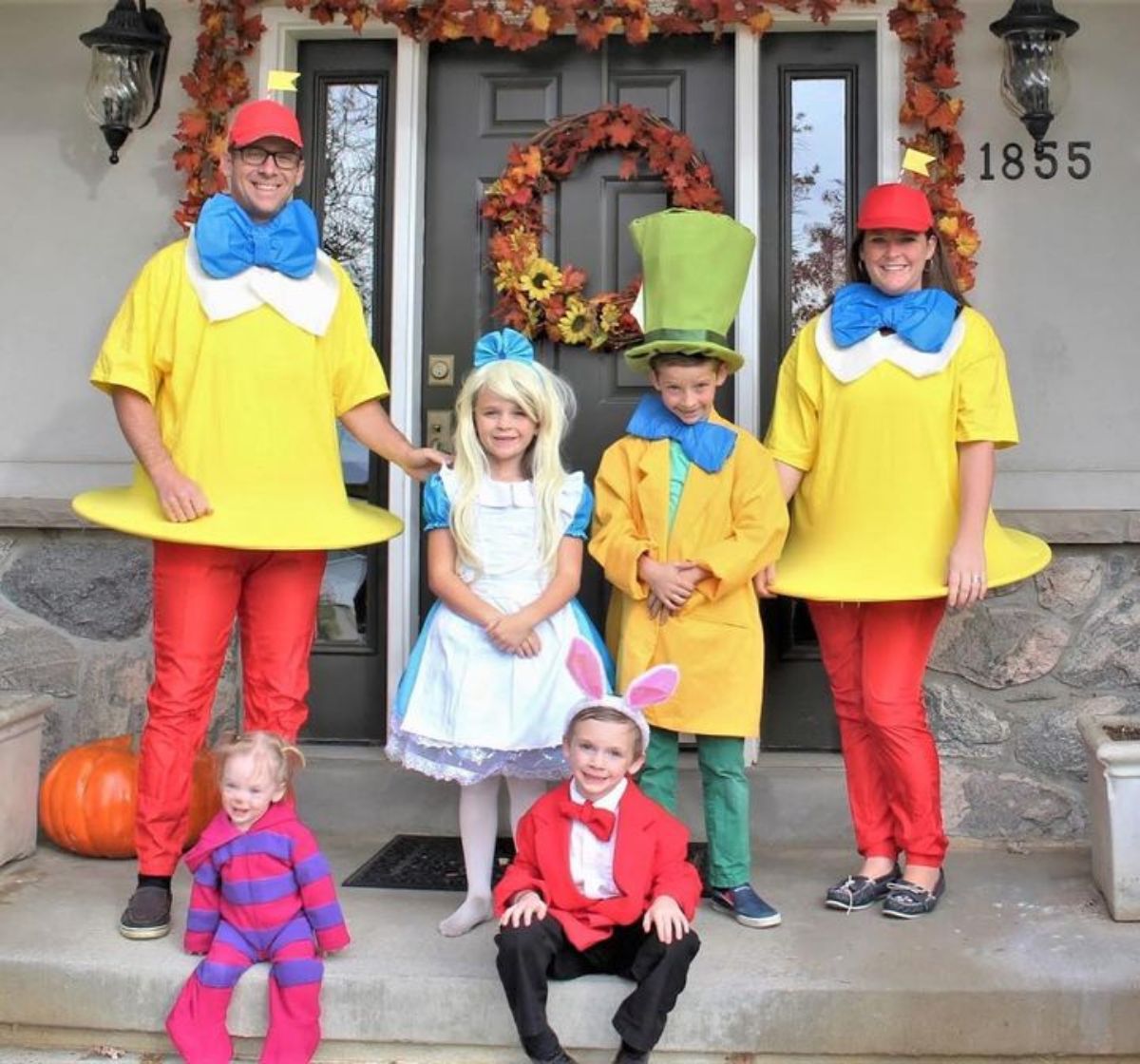 alice in wonderland costumes for six family members