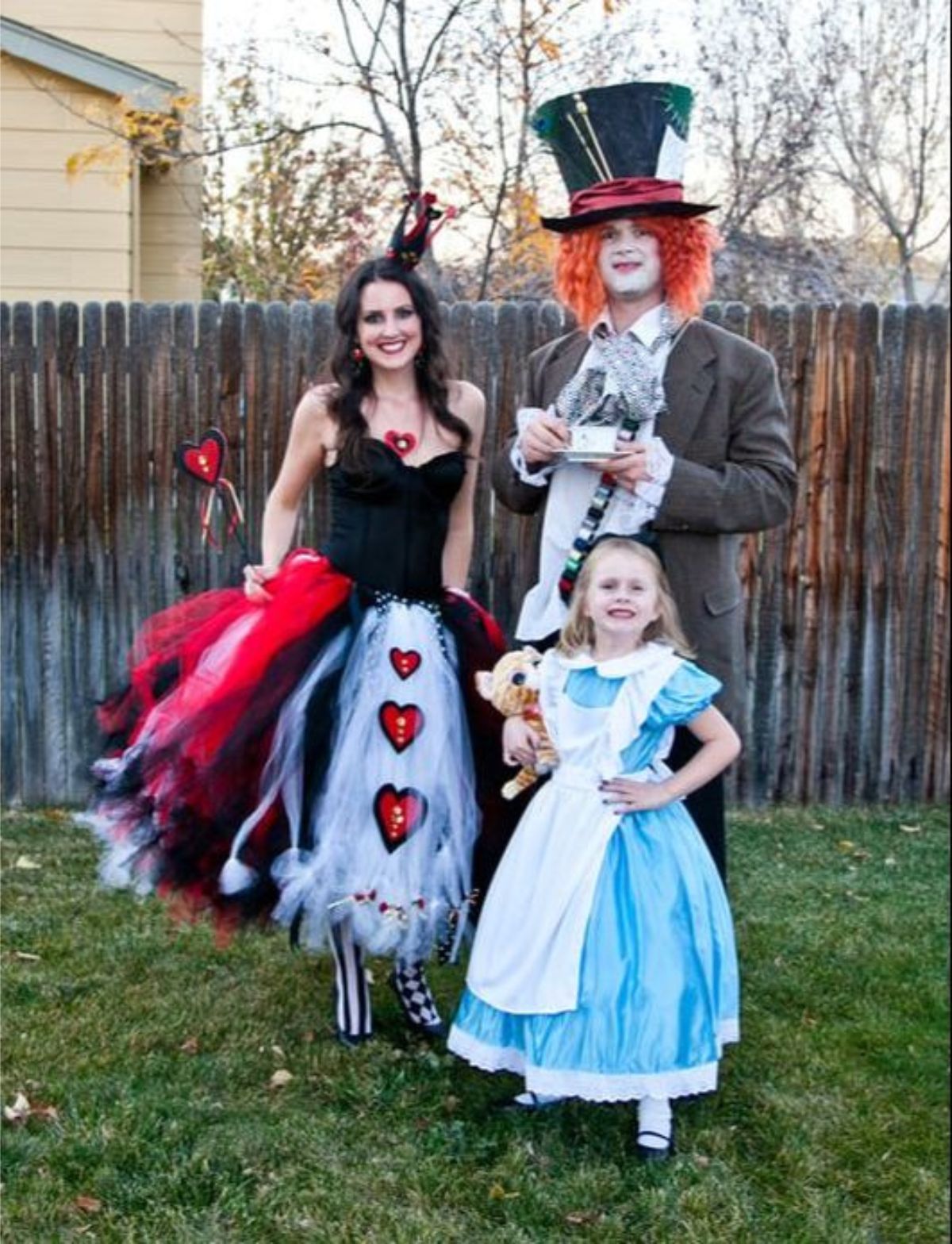 alice in wonderland family halloween costumes for three people