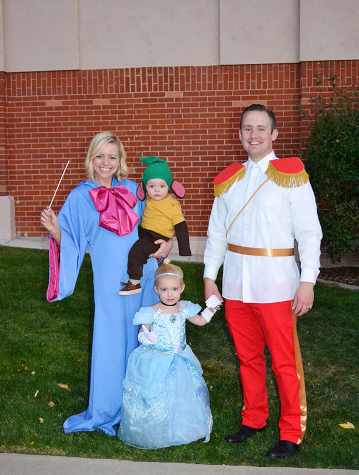 cinderella family costumes