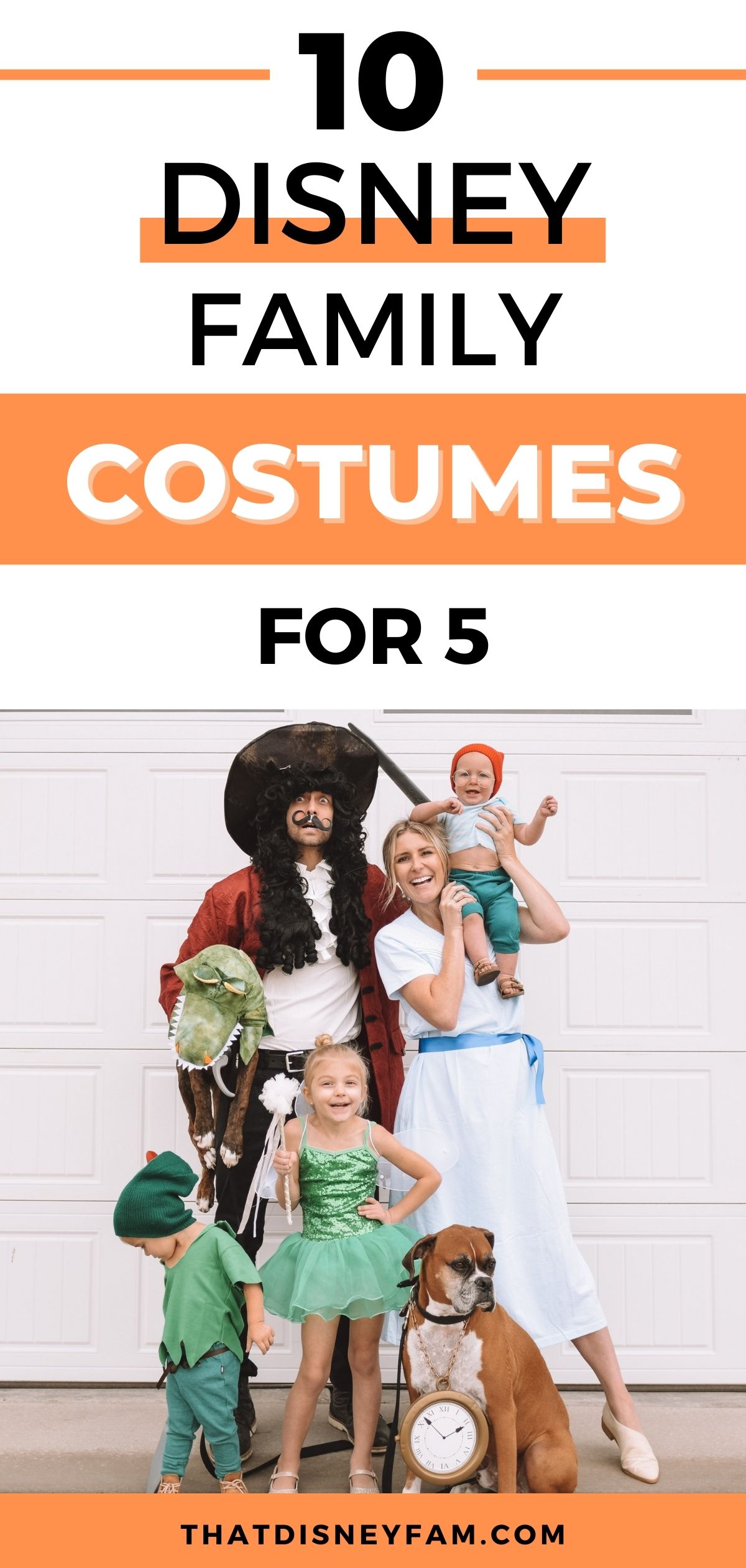 disney family costumes for 5