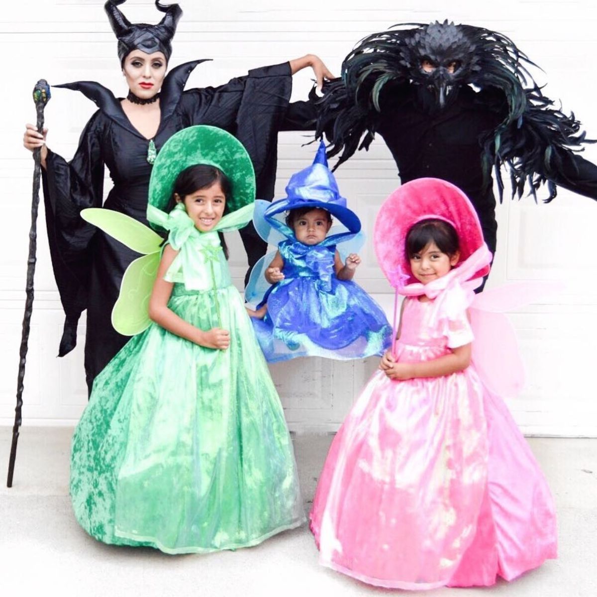 sleeping beauty costumes for 5 family members