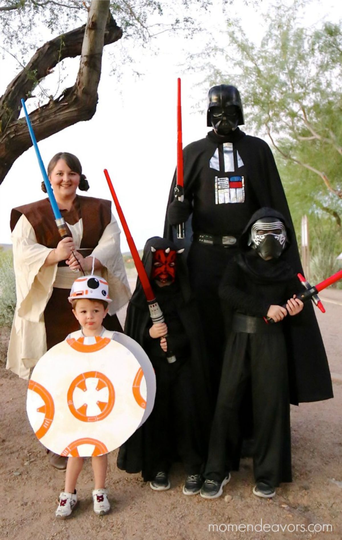 star wars family costumes for 5 people