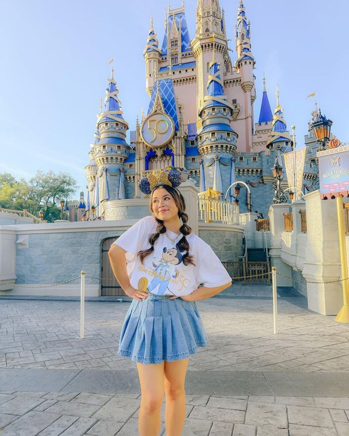 Disney Outfit With A Skirt