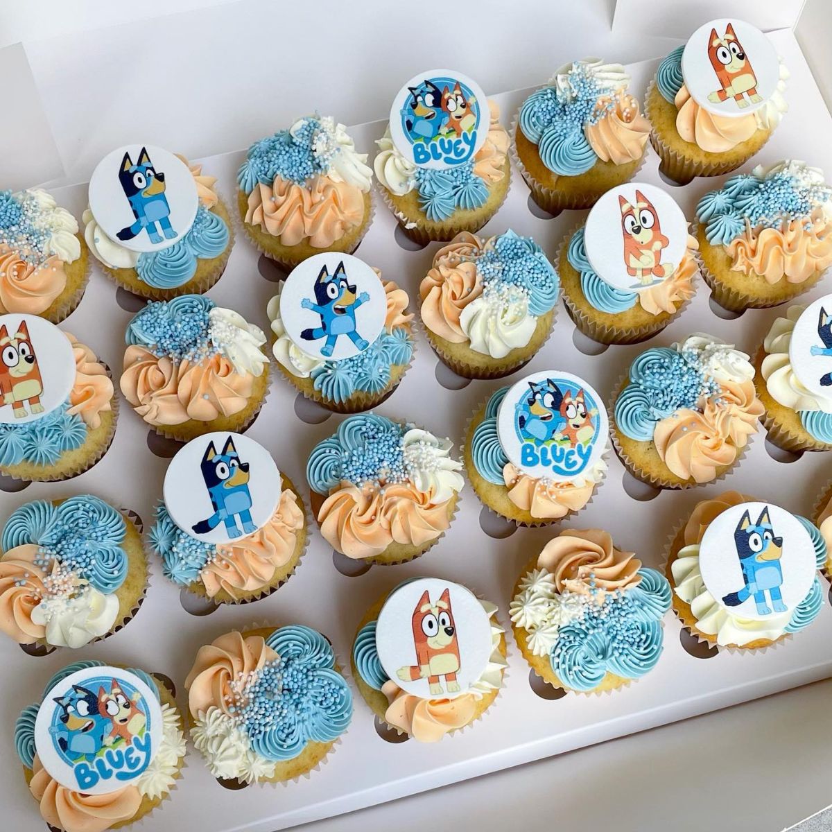 Pastel Bluey Birthday Cupcakes