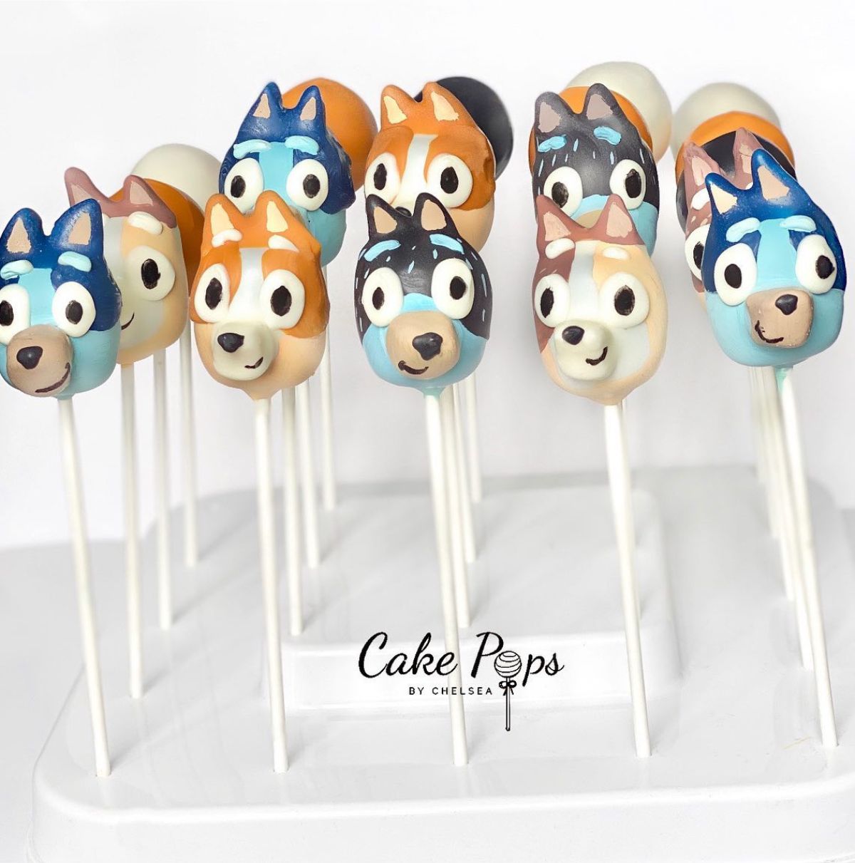 Bluey's Family Cake Pops