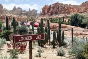 radiator springs racers