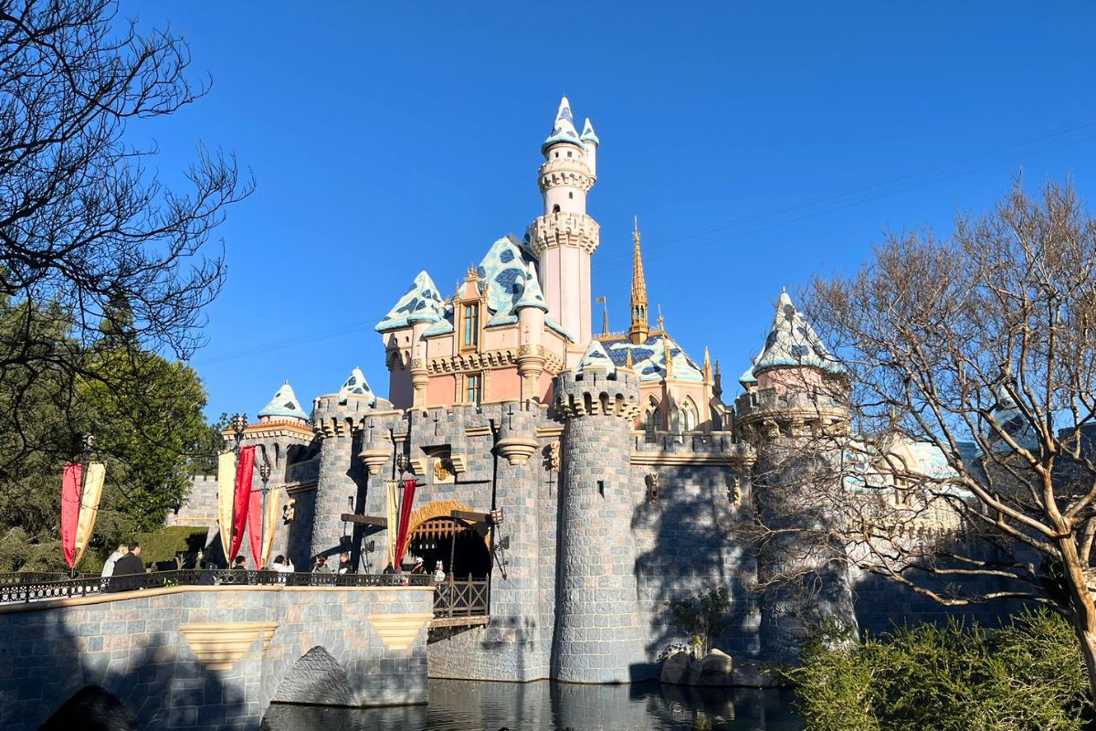 disneyland castle