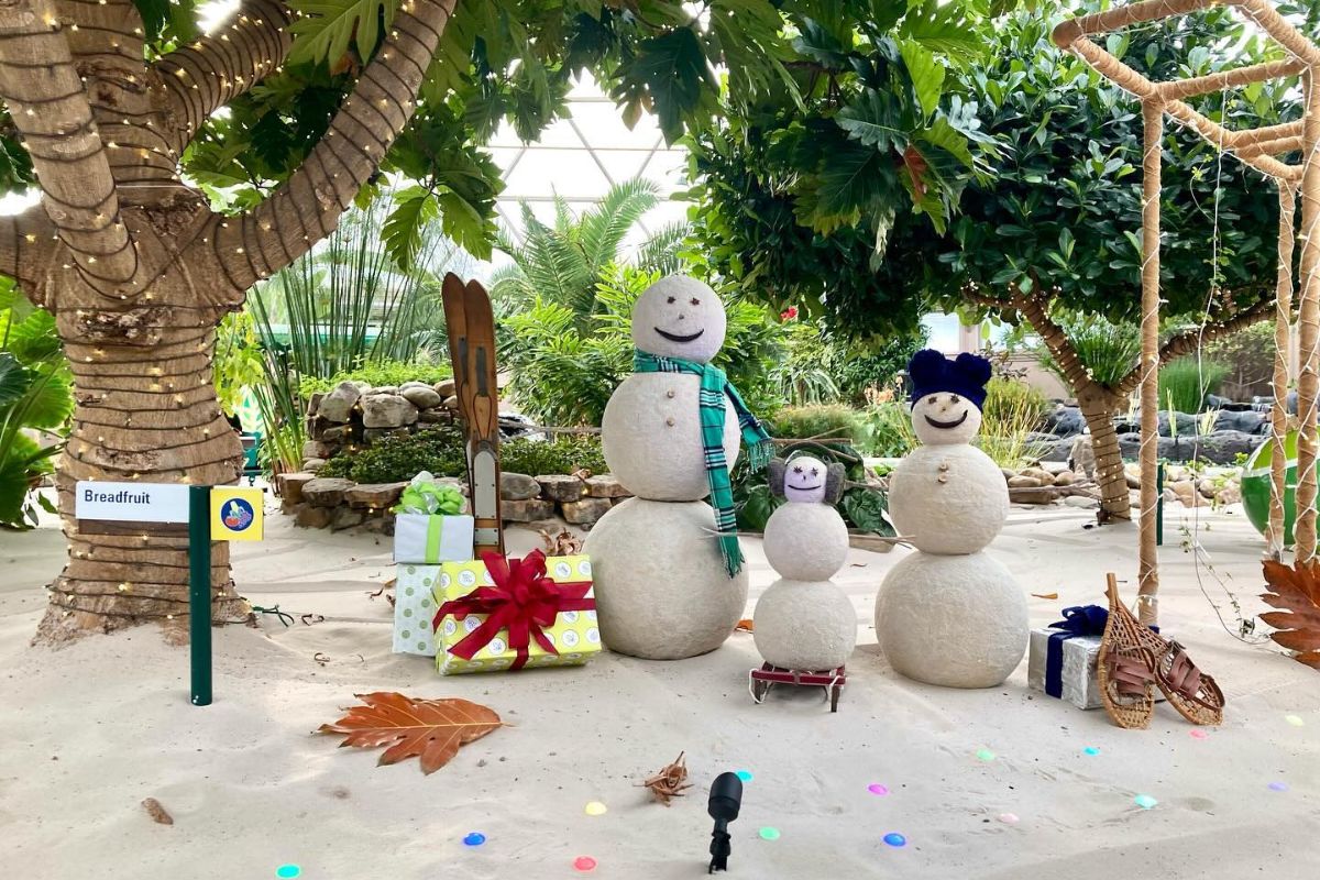 Living With the Land Glimmering Greenhouses