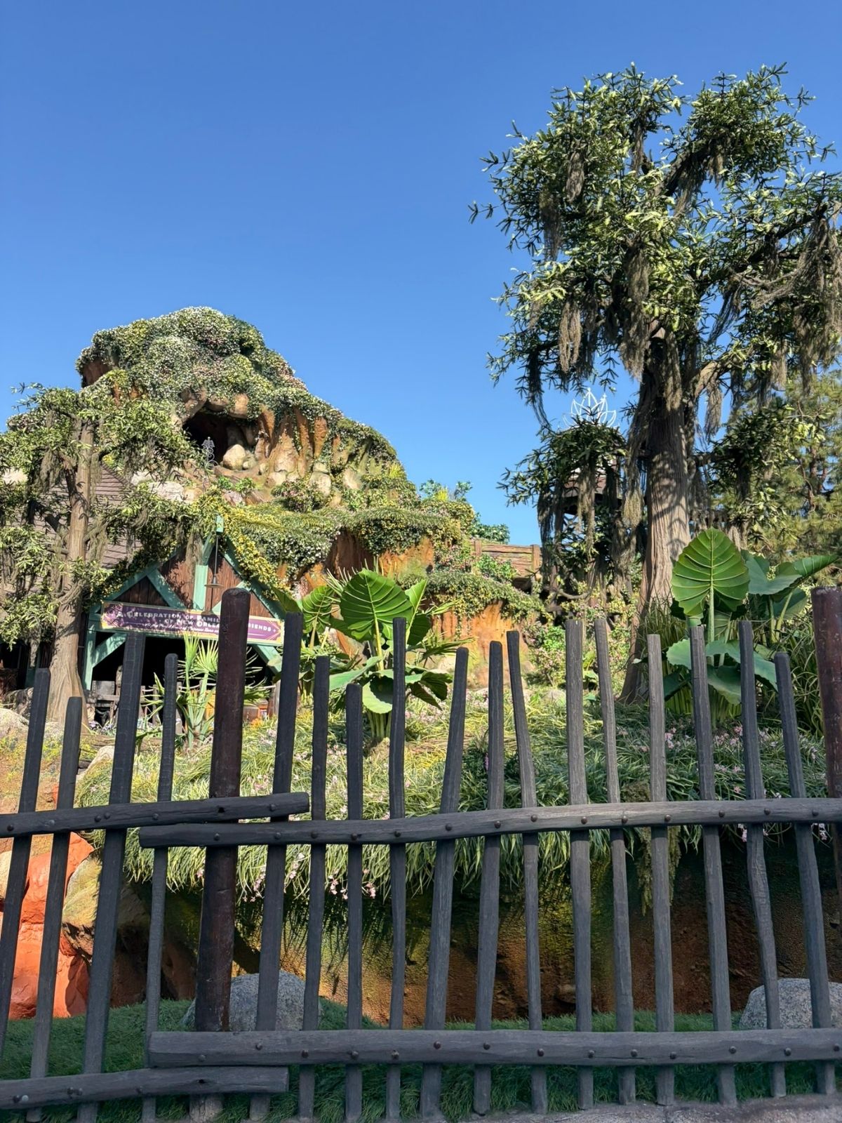 Tiana'a Bayou Adventure