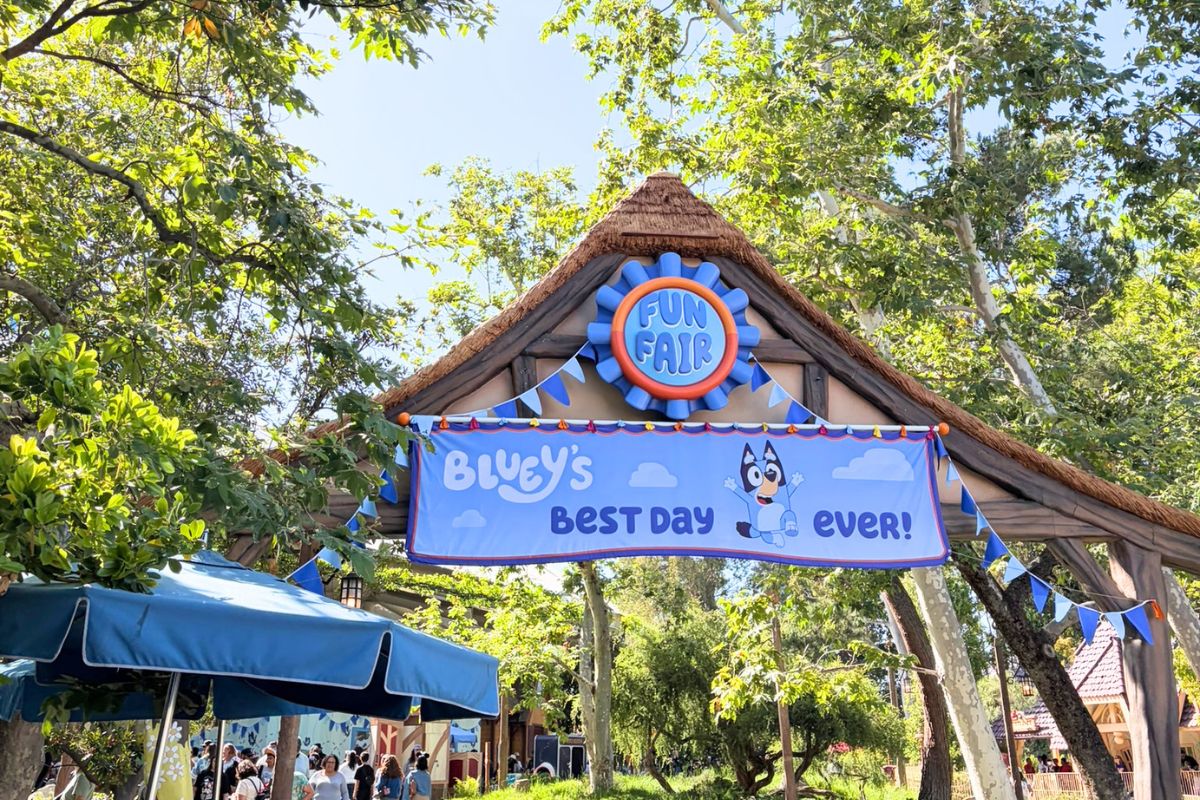 blueys best day ever sign