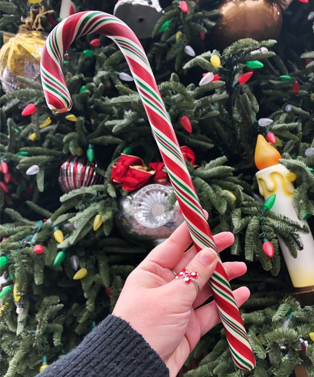 disney candy cane