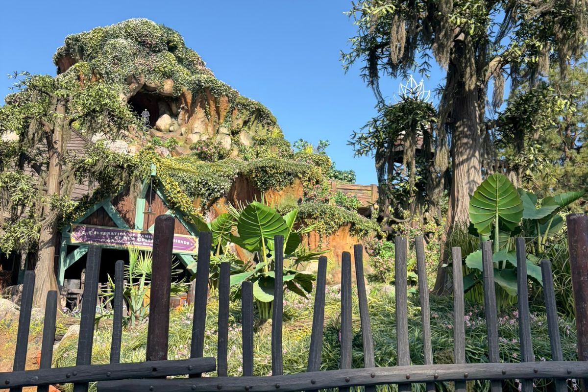 tianas bayou adventure